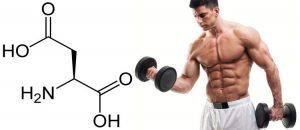 D-Aspartic Acid