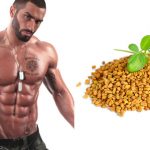 The Relationship Between Fenugreek and Testosterone