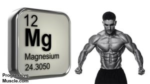 Magnesium & testosterone