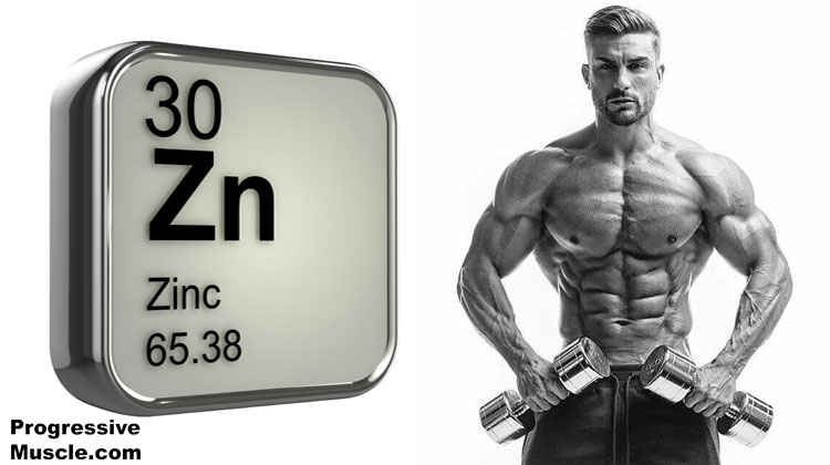 Zinc & testosterone
